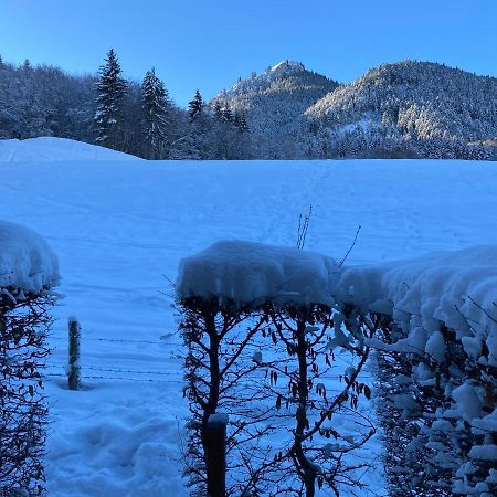 Appartement 2 Pieces Pieds Des Pistes Terrasse Face A La Montagne Bernex Exterior foto